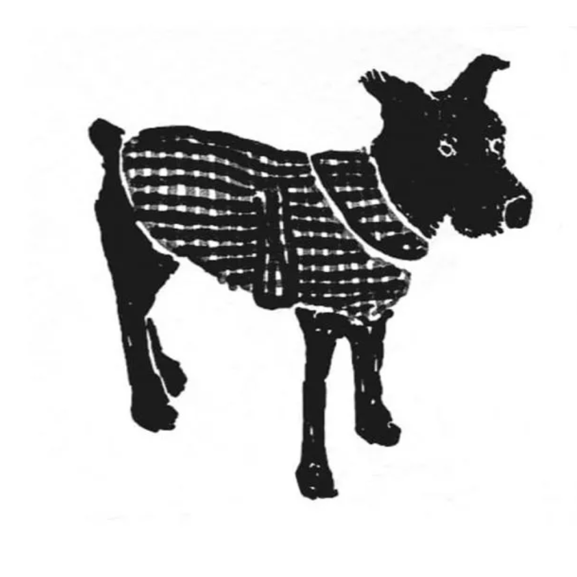 Barka Dog Coat | Paper Pattern