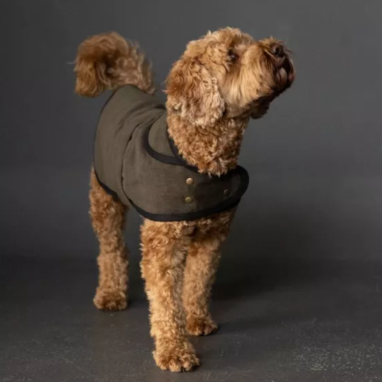 Barka Dog Coat | Paper Pattern